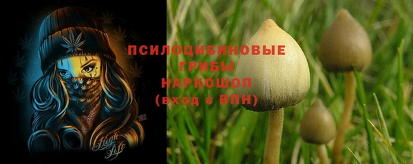 прущий лед Алзамай