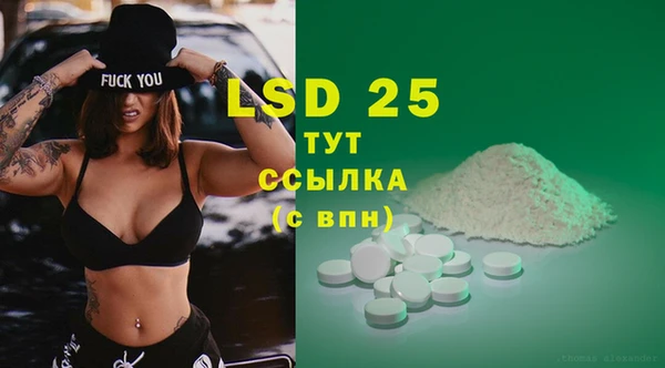 стаф Аркадак