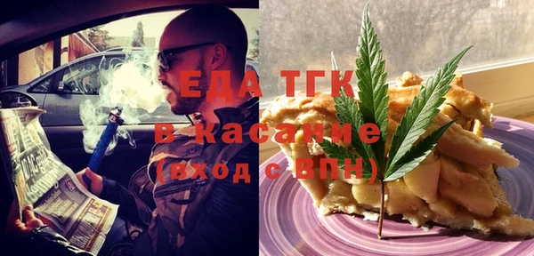 хмурый Алексин
