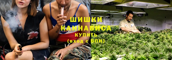 стаф Аркадак