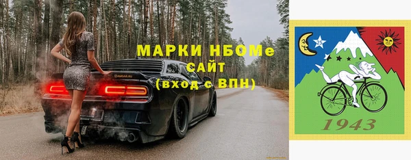 хмурый Алексин