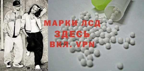 прущий лед Алзамай