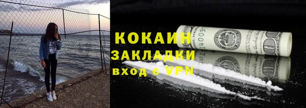 стаф Аркадак